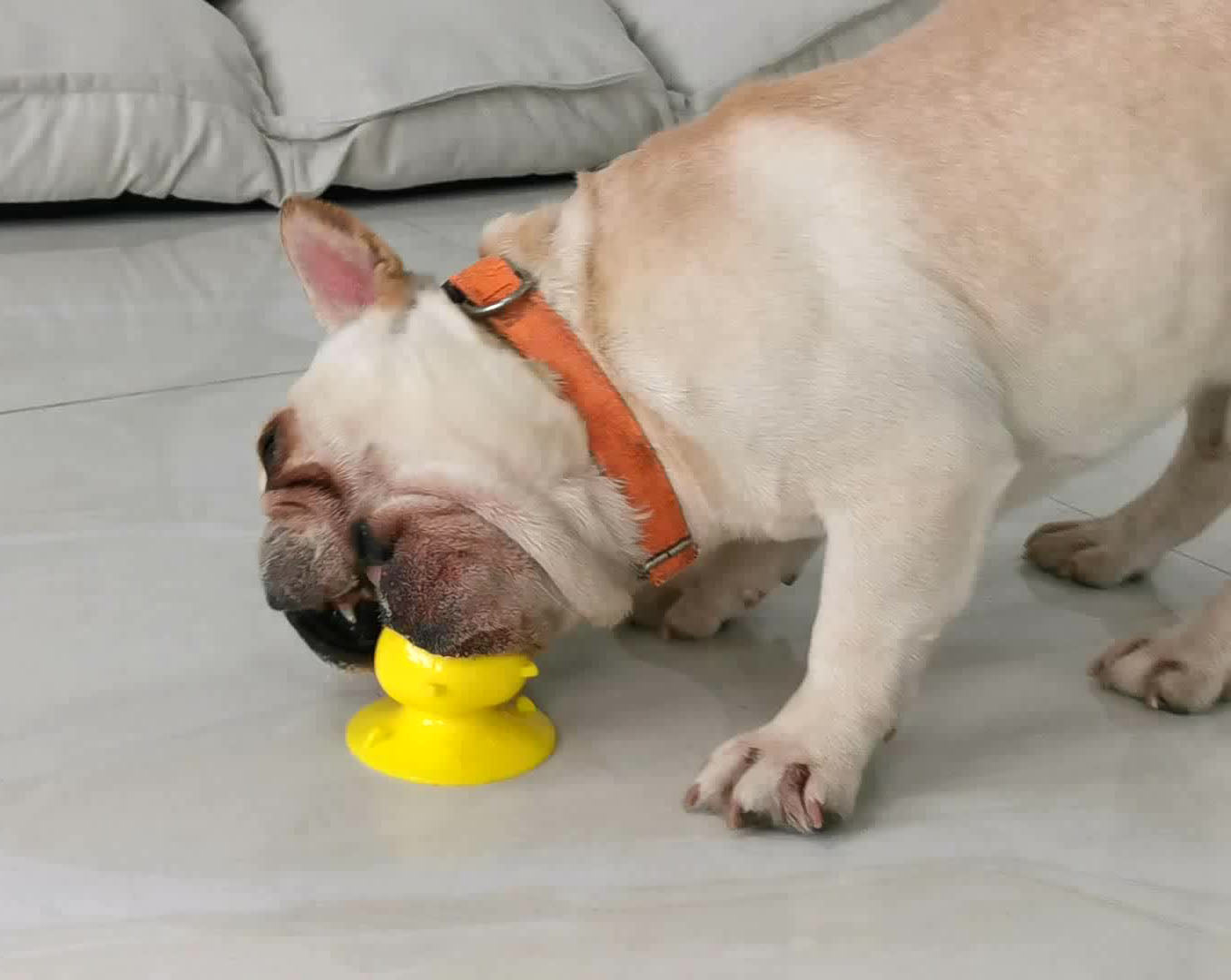 Pet Dog Sucker Cute Pig Snack Cake Molar Toy