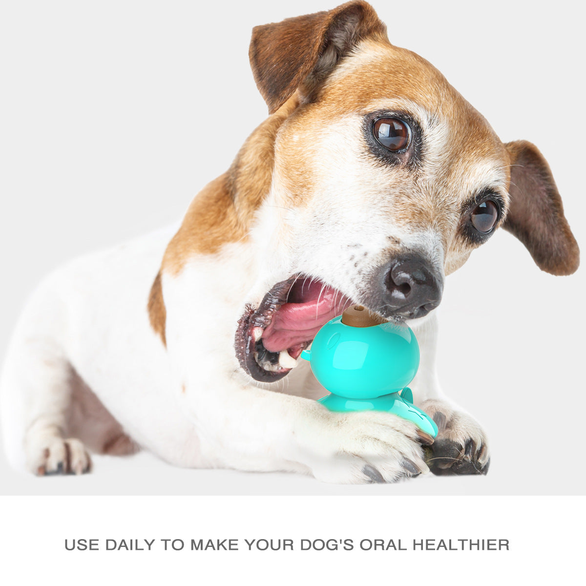 Pet Dog Sucker Cute Pig Snack Cake Molar Toy