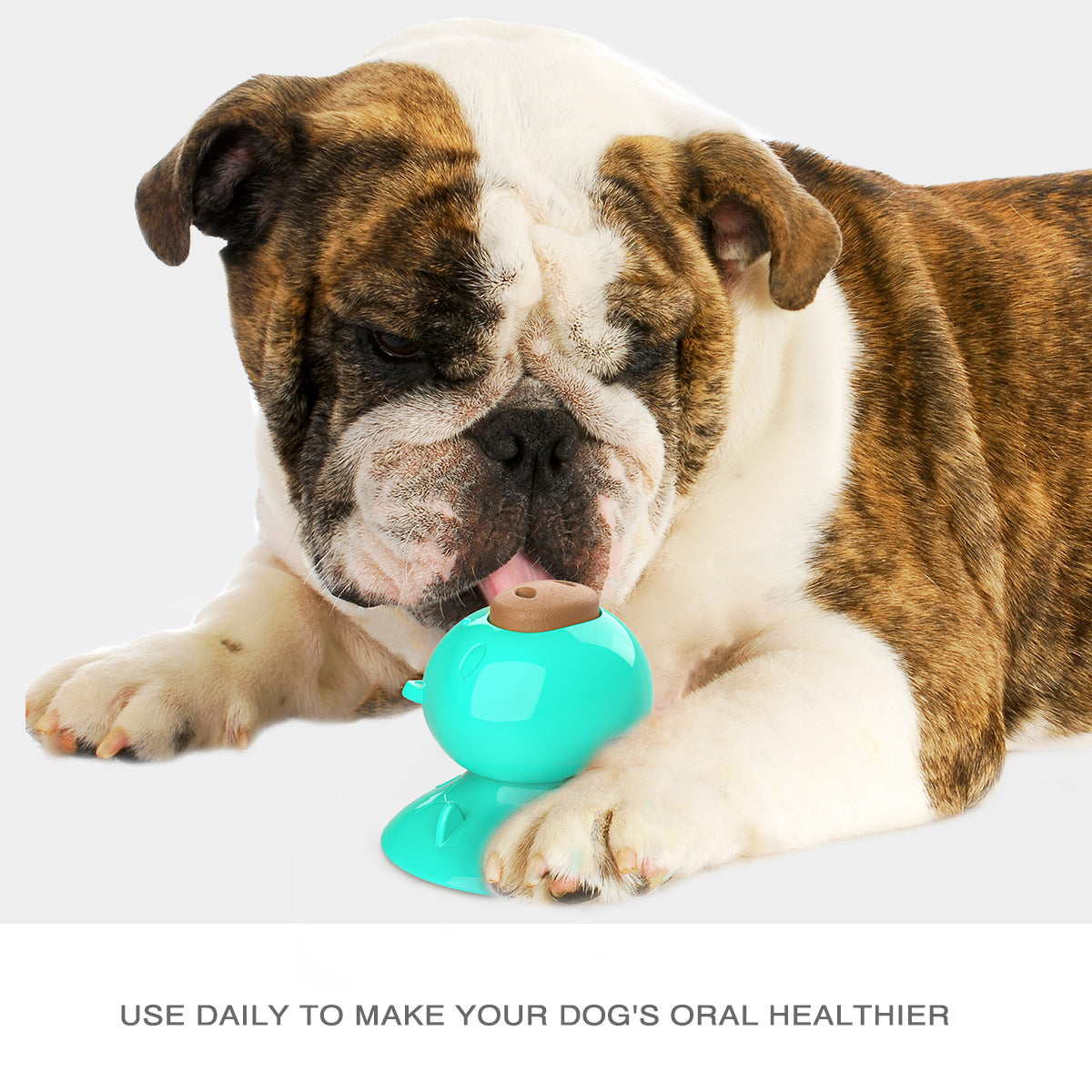 Pet Dog Sucker Cute Pig Snack Cake Molar Toy